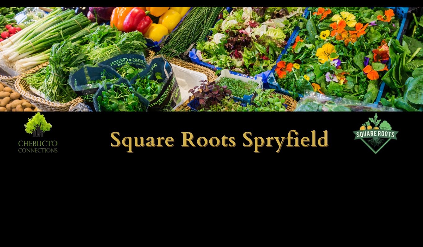 Square Roots Spryfield